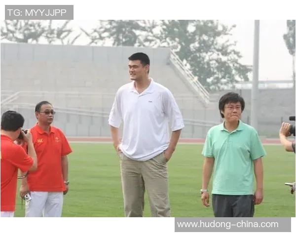 鲨鱼姚明携手共创海洋保护新理念引发全民关注与热议